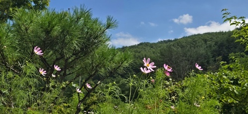 메인사진